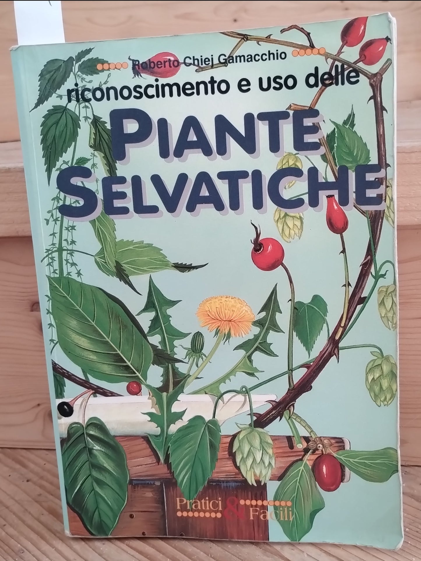 Riconoscimento e uso delle piante selvatiche. Chiej Gamacchio, Demetra ed.