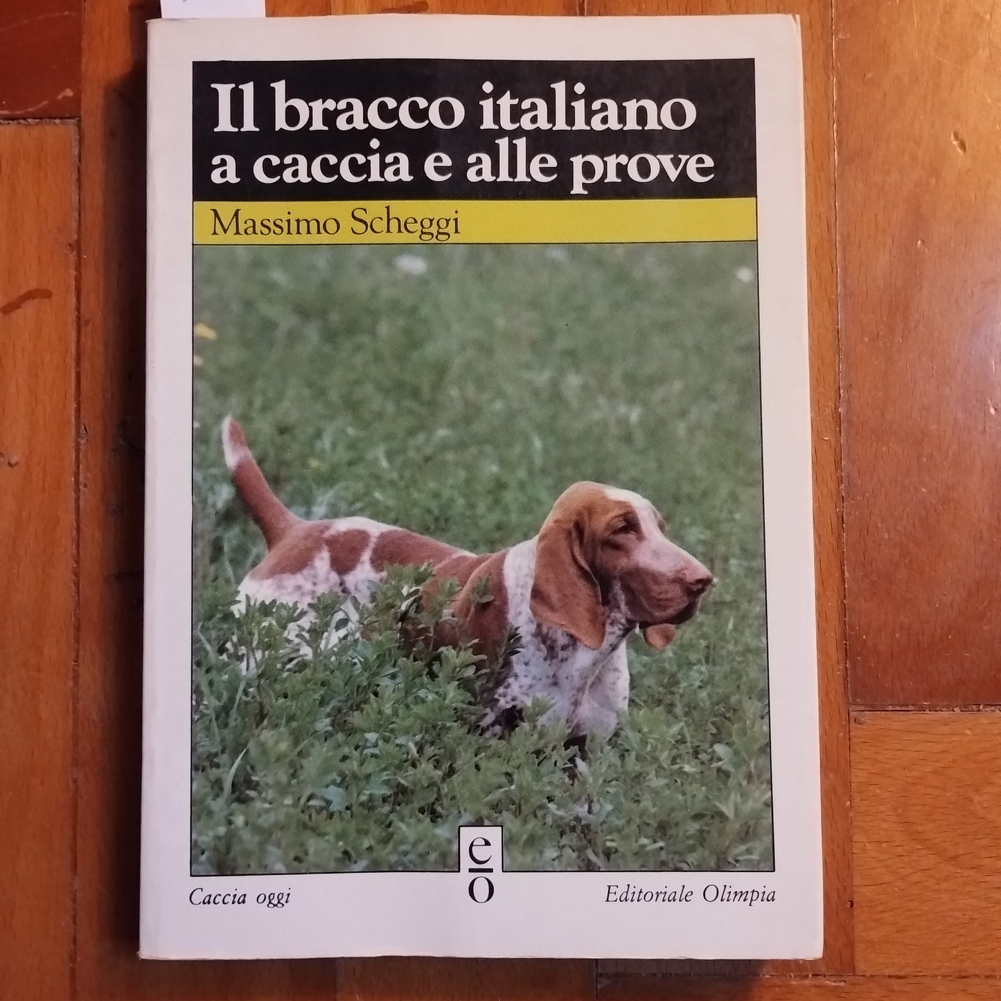 Il bracco italiano a caccia e alle prove. Massimo Scheggi - Olimpia