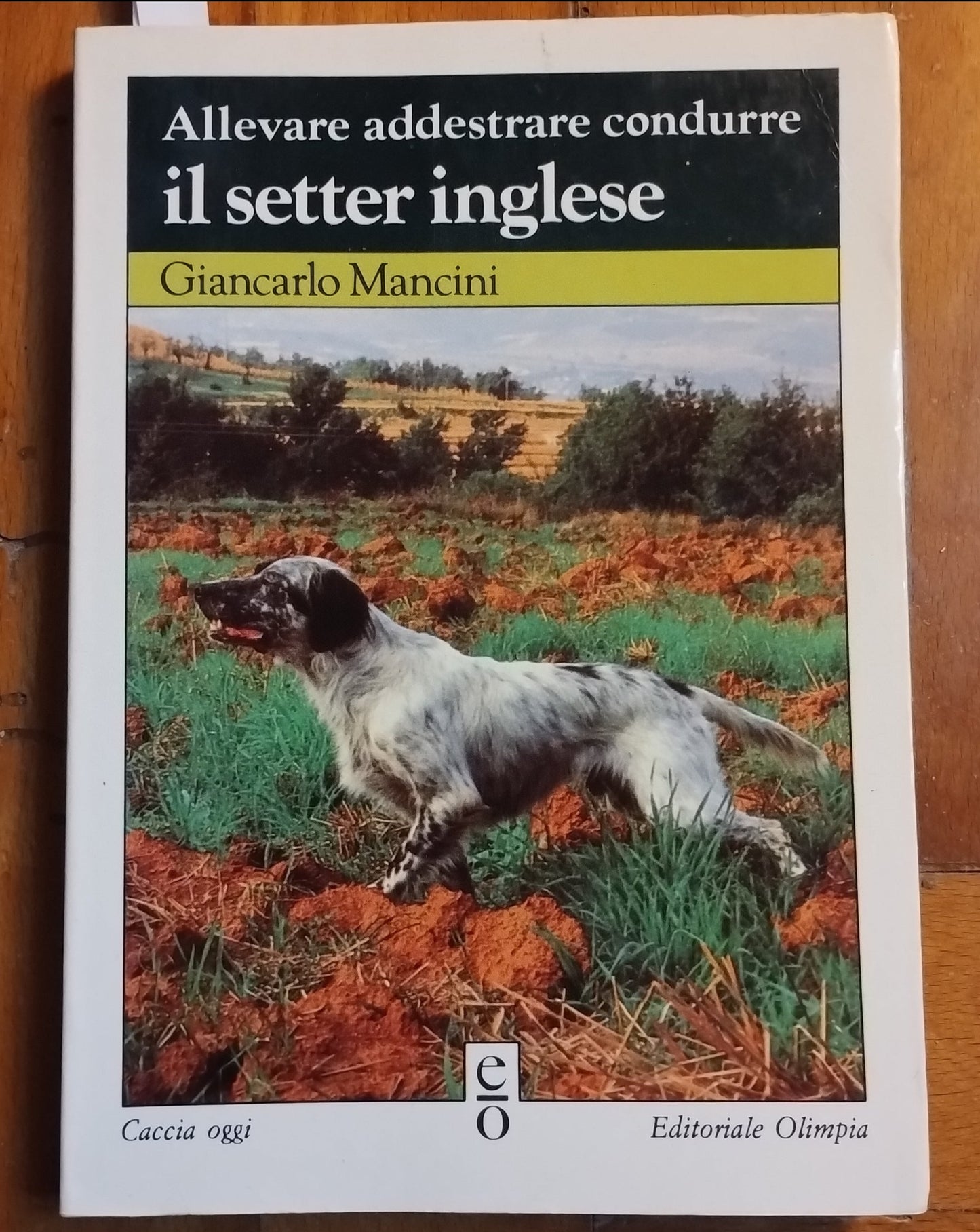 Allevare addestrare e condurre il setter inglese, G. Mancini-Olimpia 1990