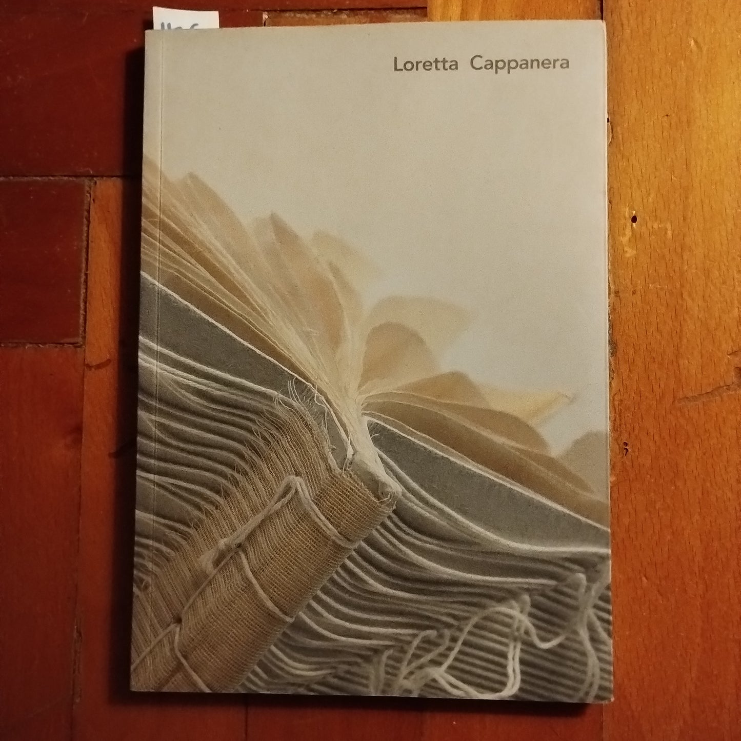 Loretta Cappanera : le mani di ogni giorno - Udine : Filacorda, Cataloghi di esposizioni