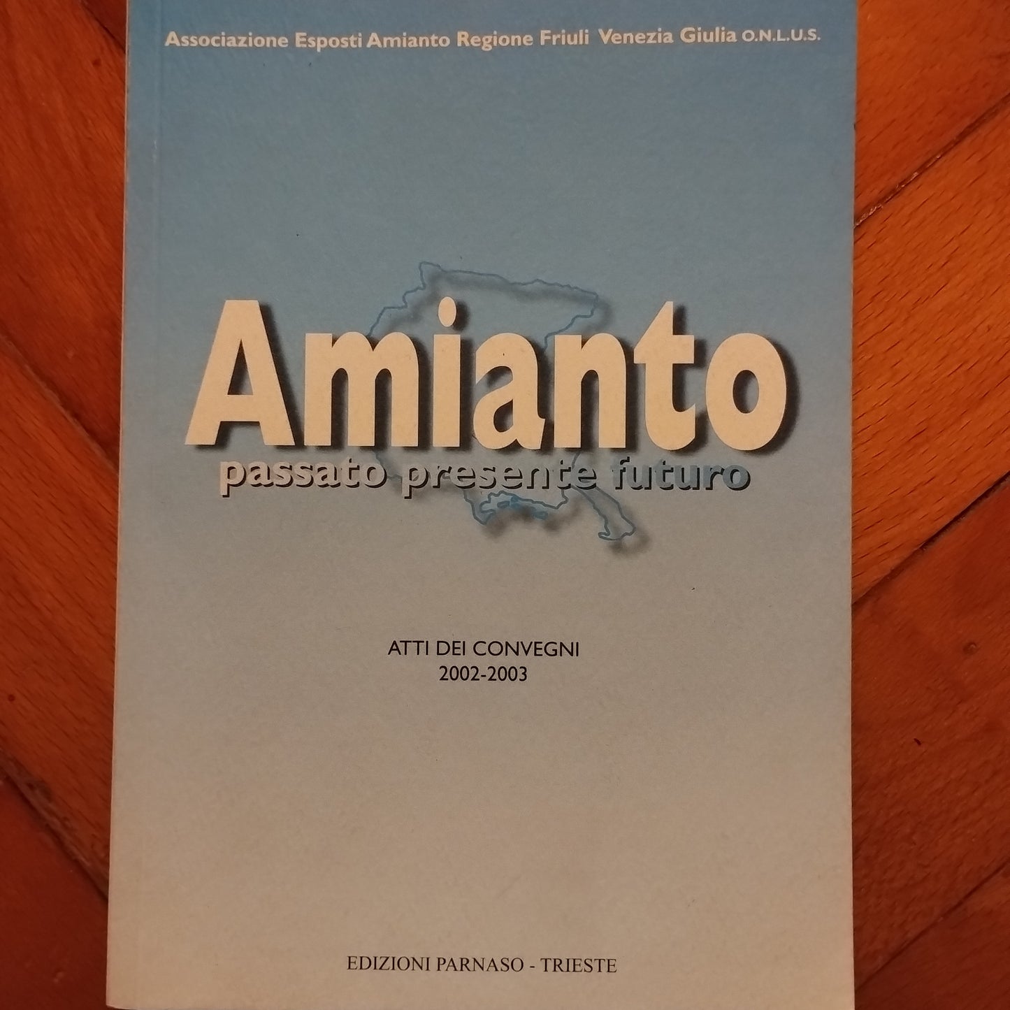 Amianto, passato presente futuro, atti dei convegni 2002 - 2003 Regione Friuli Venezia Giulia Parnaso ed. Trieste