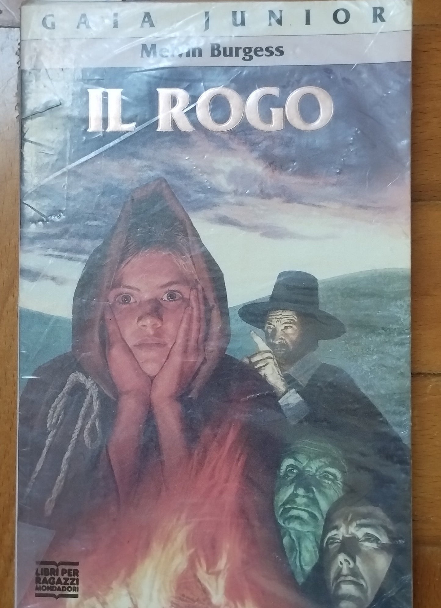 Il rogo - Melvin Burgess (Autore) e I. Tron - Mondadori, 1993