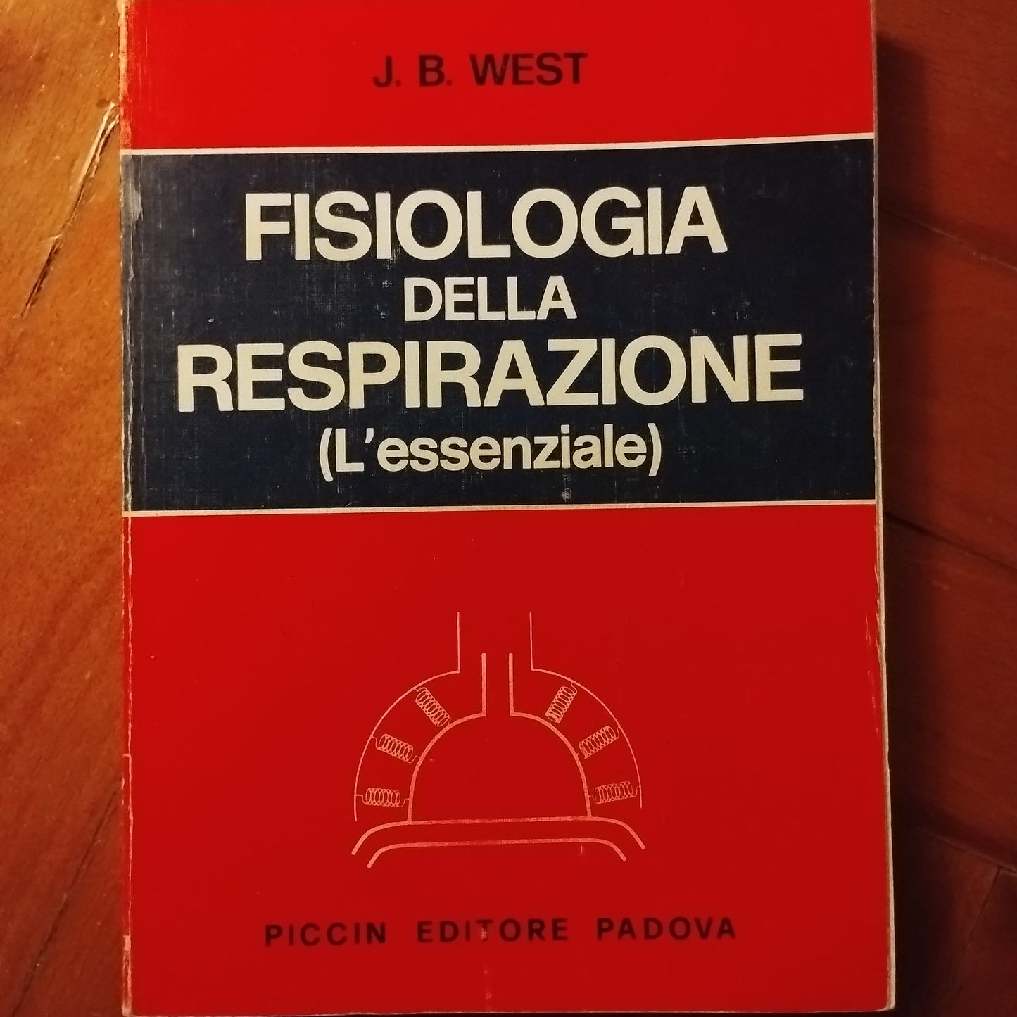 Fisiologia della respirazione (L'essenziale) - J. West (Autore) Piccin-Nuova Libraria, 1979