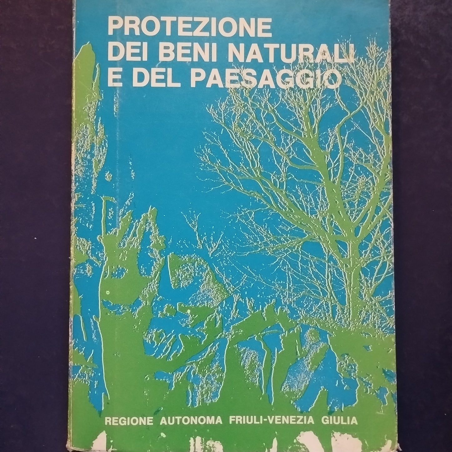 Protezione dei beni naturali e del paesaggio, Regione autonoma Friuli Venezia Giulia - attività della commissione 1967 / 1971