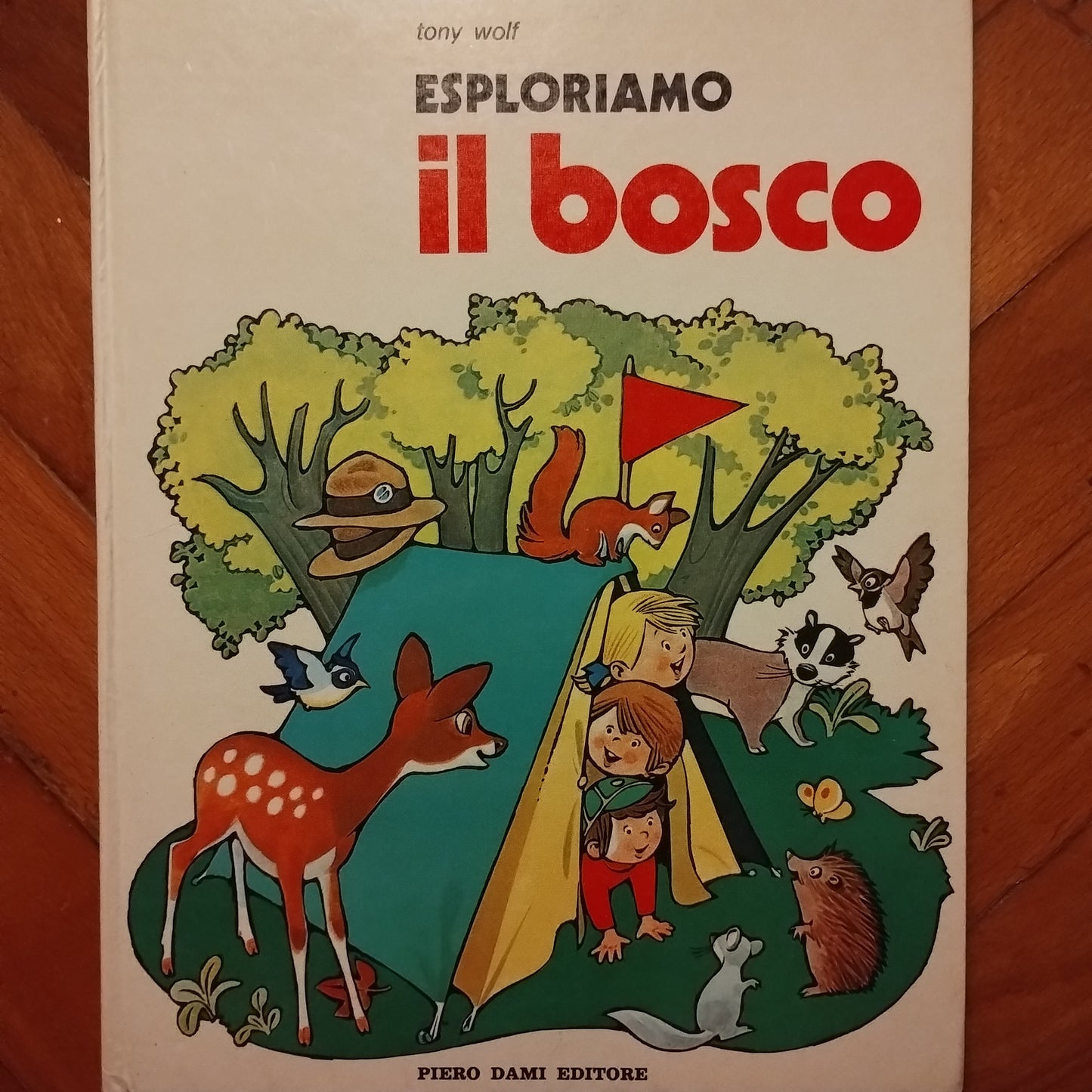 Esploriamo il bosco - Tony Wolf, Dami editore 1977 Gordon
