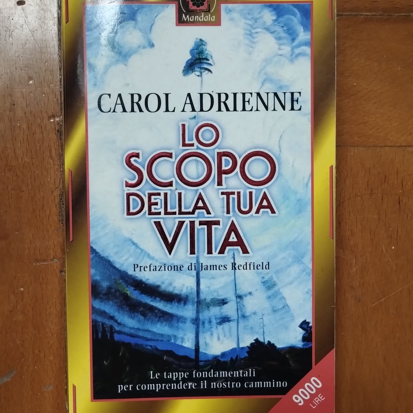 Lo scopo della tua vita - Carol Adrienne - tascabile pocket