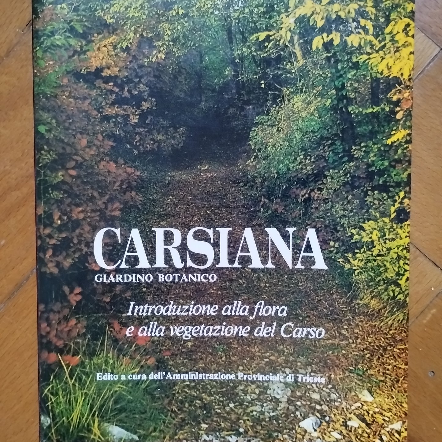 Carsiana: giardino botanico : introduzione alla flora e alla vegetazione del Carso L Poldini, G Gioitti, e altri - 1980 - Amministrazione provinciale di Trieste