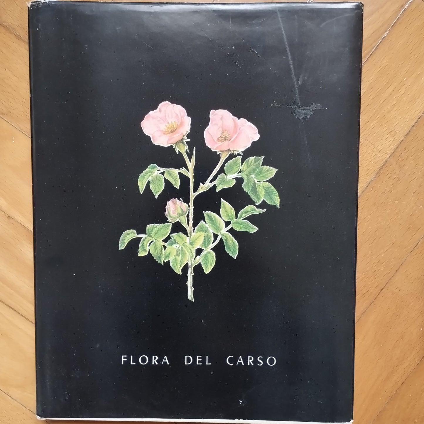 Flora del Carso, Renato Mezzena (Autore) Edizioni LINT, 1965