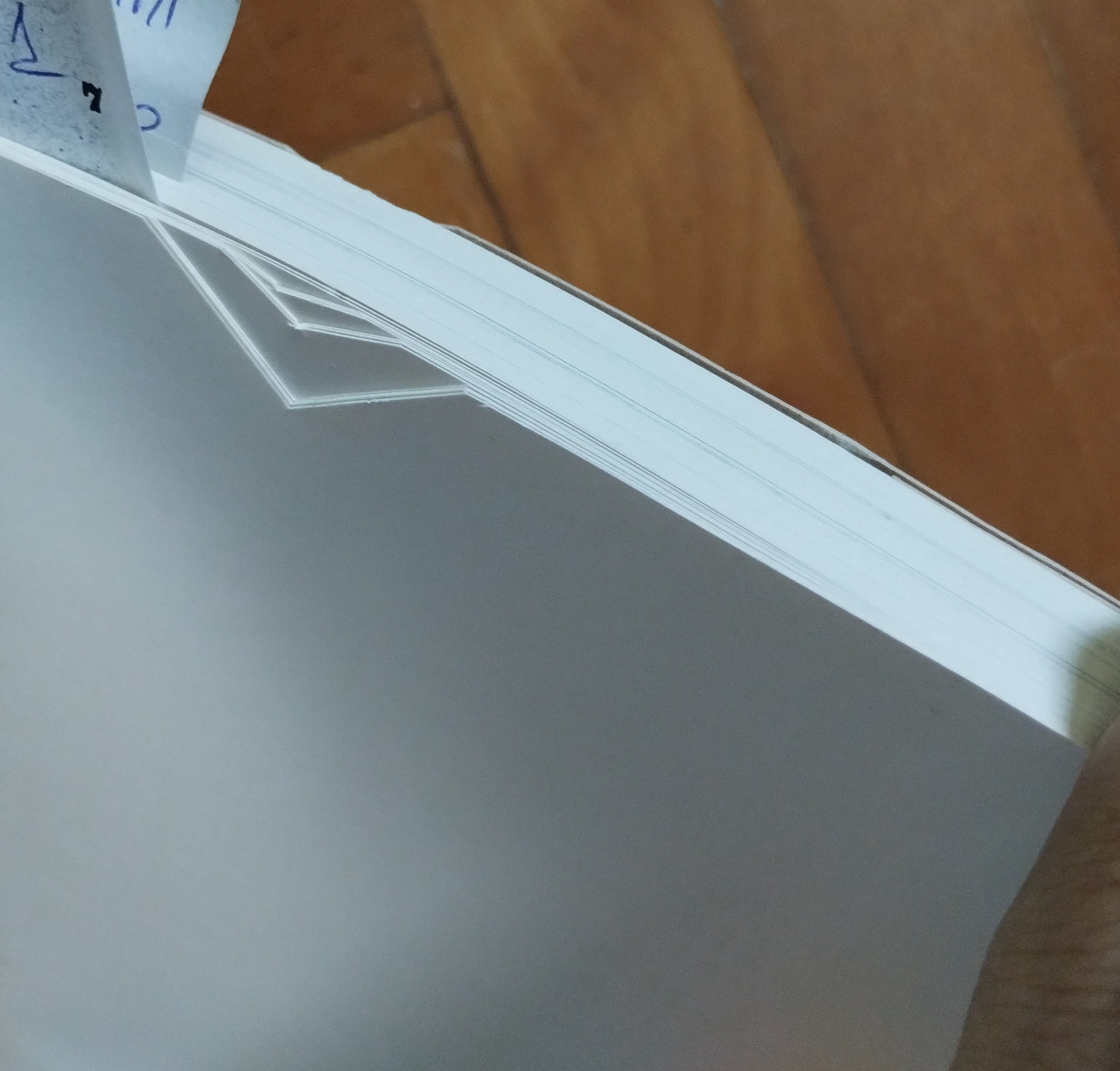 Gustavo Pulitzer Finali. Il disegno della nave. Allestimenti interni (1925-1967) - Donato Riccesi !!DANNEGGIATO!!