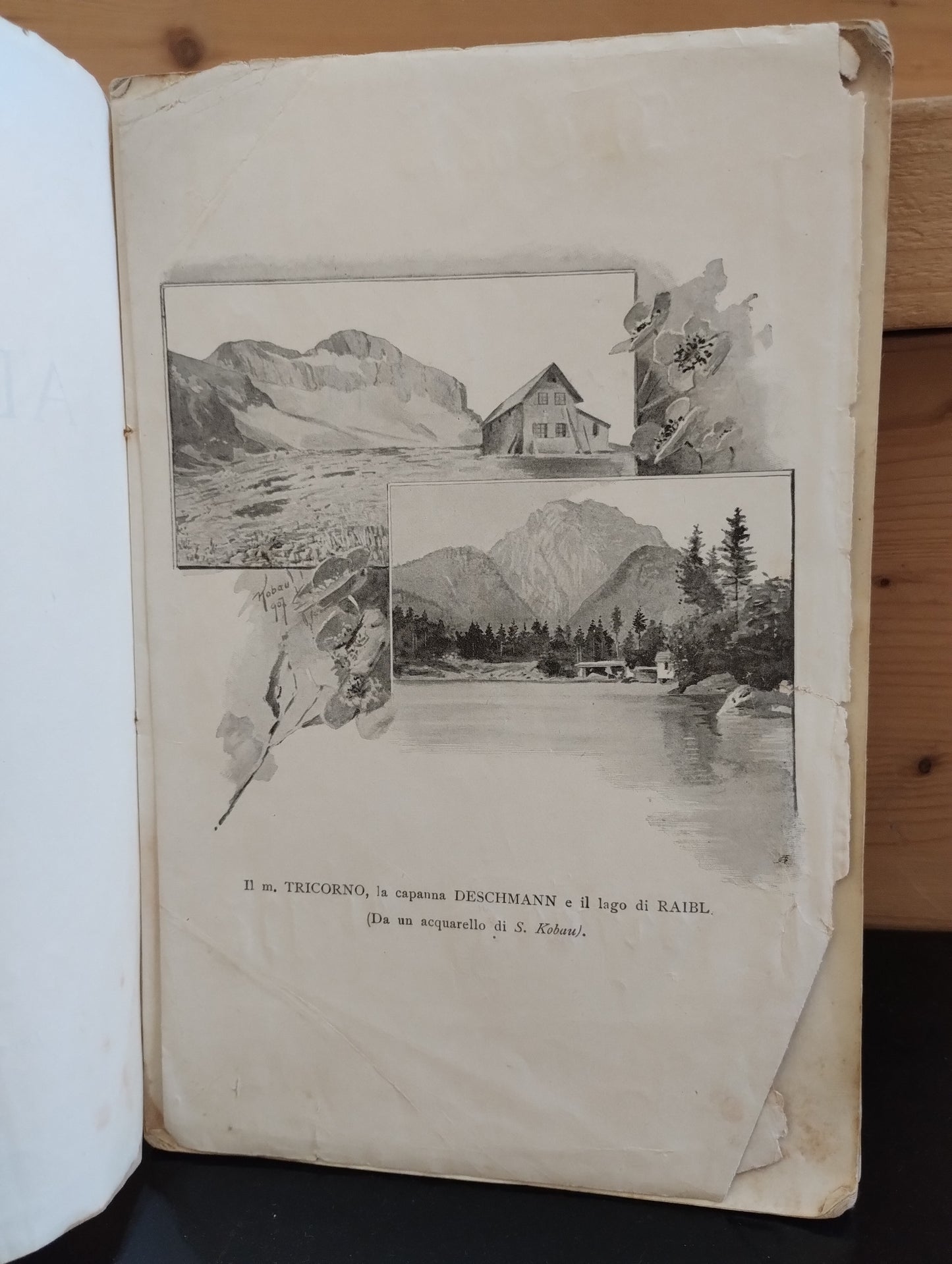 Alpi Giulie, Nicolò Cobol, Caprin ed. 1907, Trieste, da rilegare