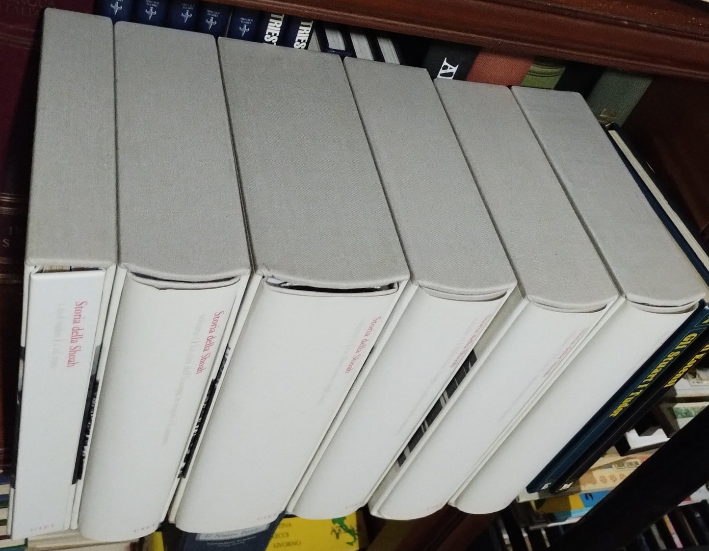 Storia della Shoah. 5 Volumi - Utet, 2005 - origini contesto