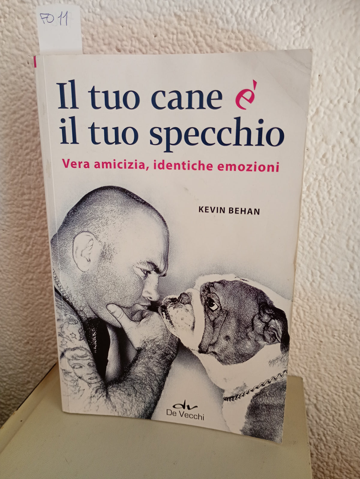 Il tuo cane è il tuo specchio. Vera amicizia, identiche emozioni. Kevin Behan. De Vecchi. 9788841209158