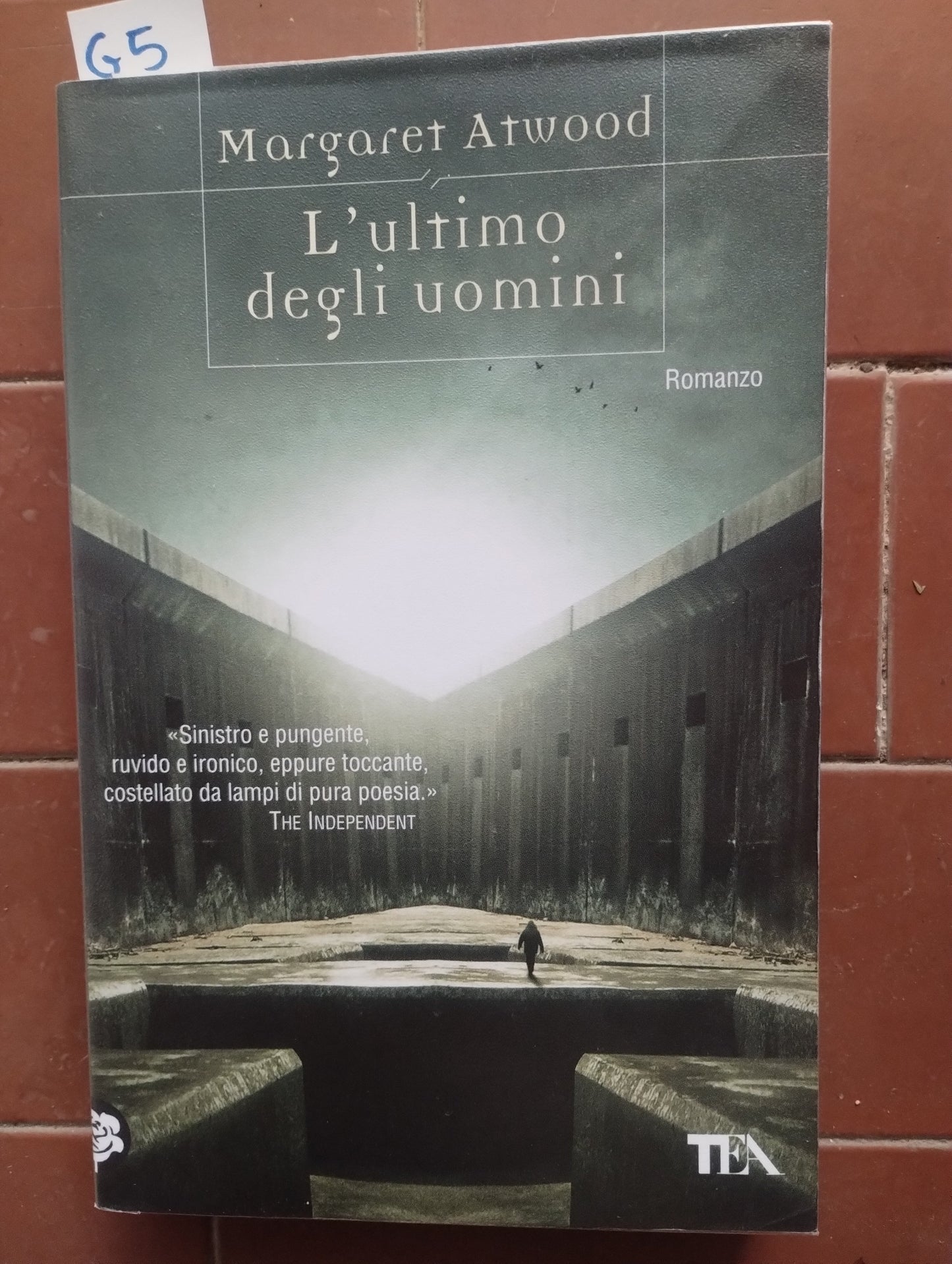 L'ultimo degli uomini di Margaret Atwood, TEA, 9788850214266