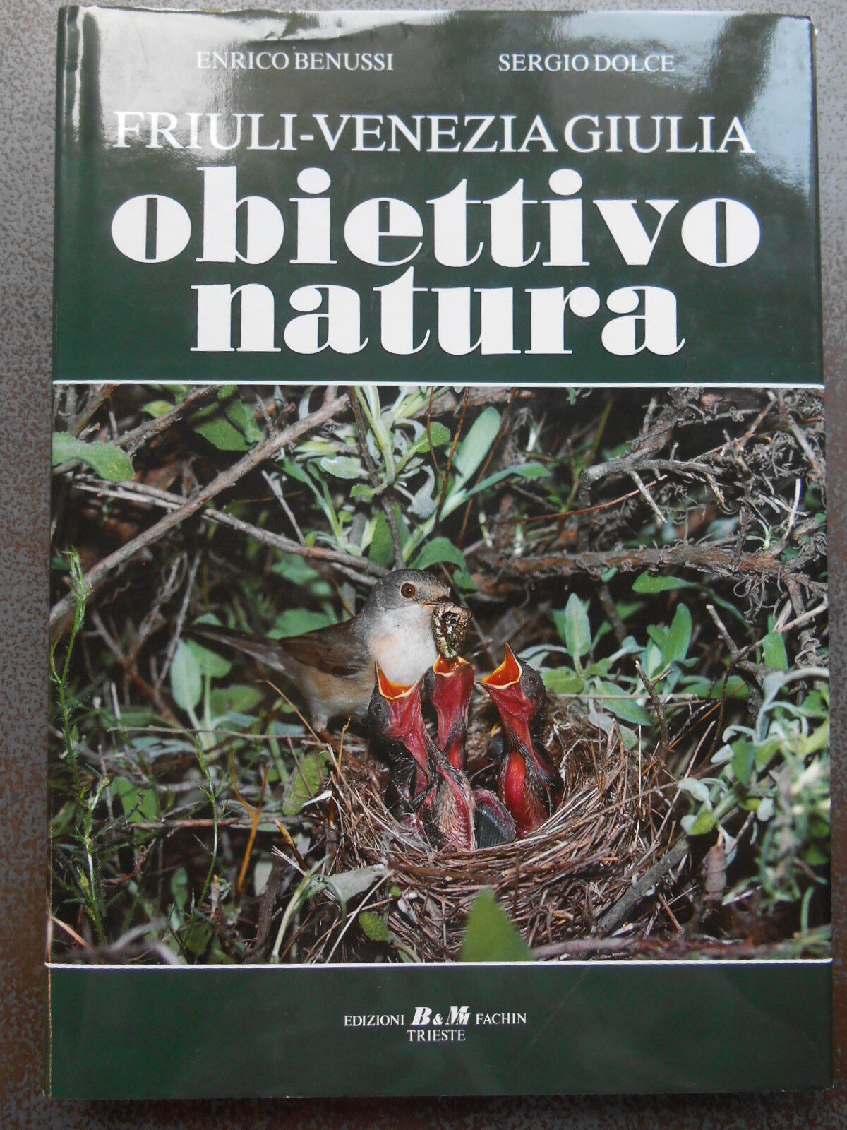 Friuli Venezia Giulia obiettivo natura Benussi - Dolce - Fachin ed. Trieste