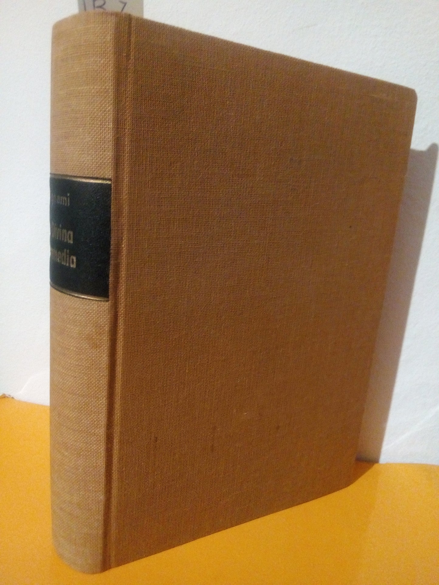 La Divina Commedia, schemi, riassunti, analisi dei singoli canti. Ernesto Bignami. Inferno, Purgatorio, Paradiso
