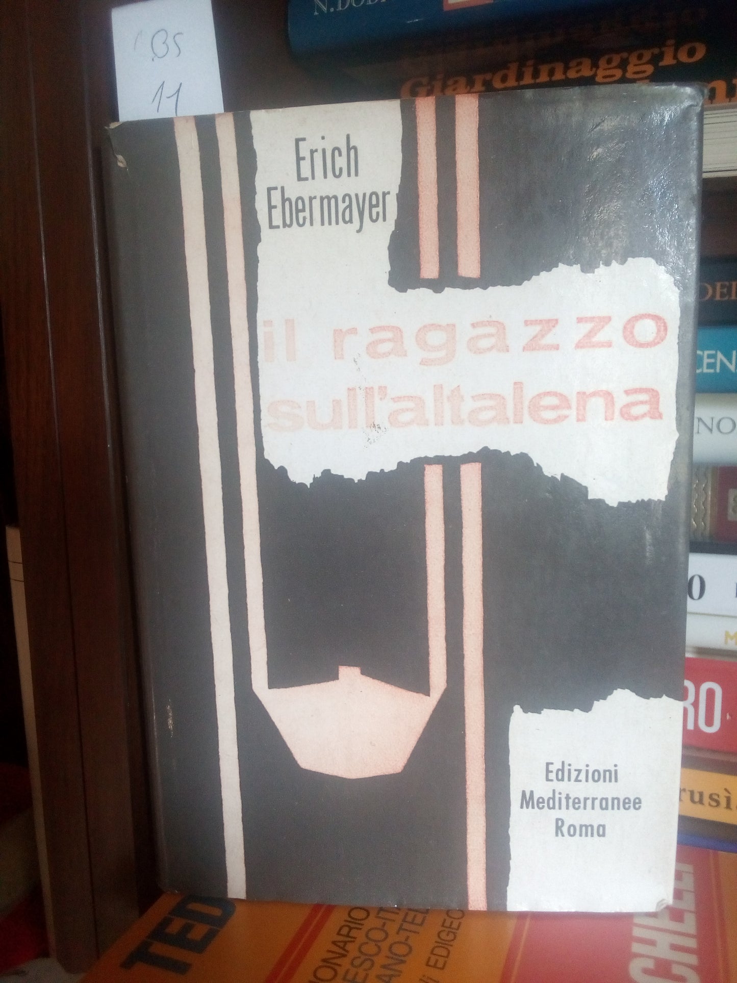 Il ragazzo sull’altalena. E. Ebermayer. Mediterranee