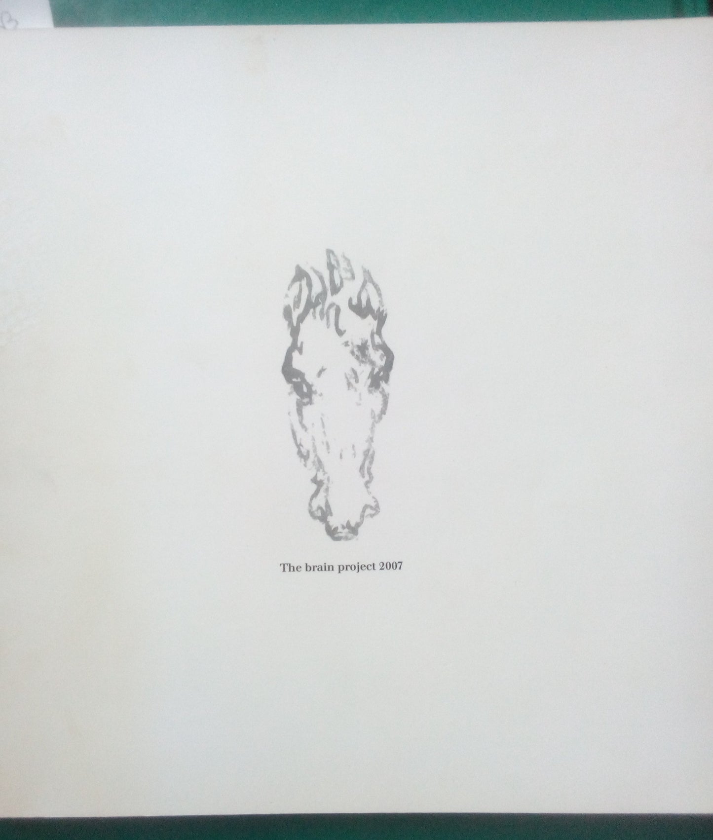 Riccardo Paci: The brain project 2006 / 2007 Concorso internazionale sull'arte digitale visiva