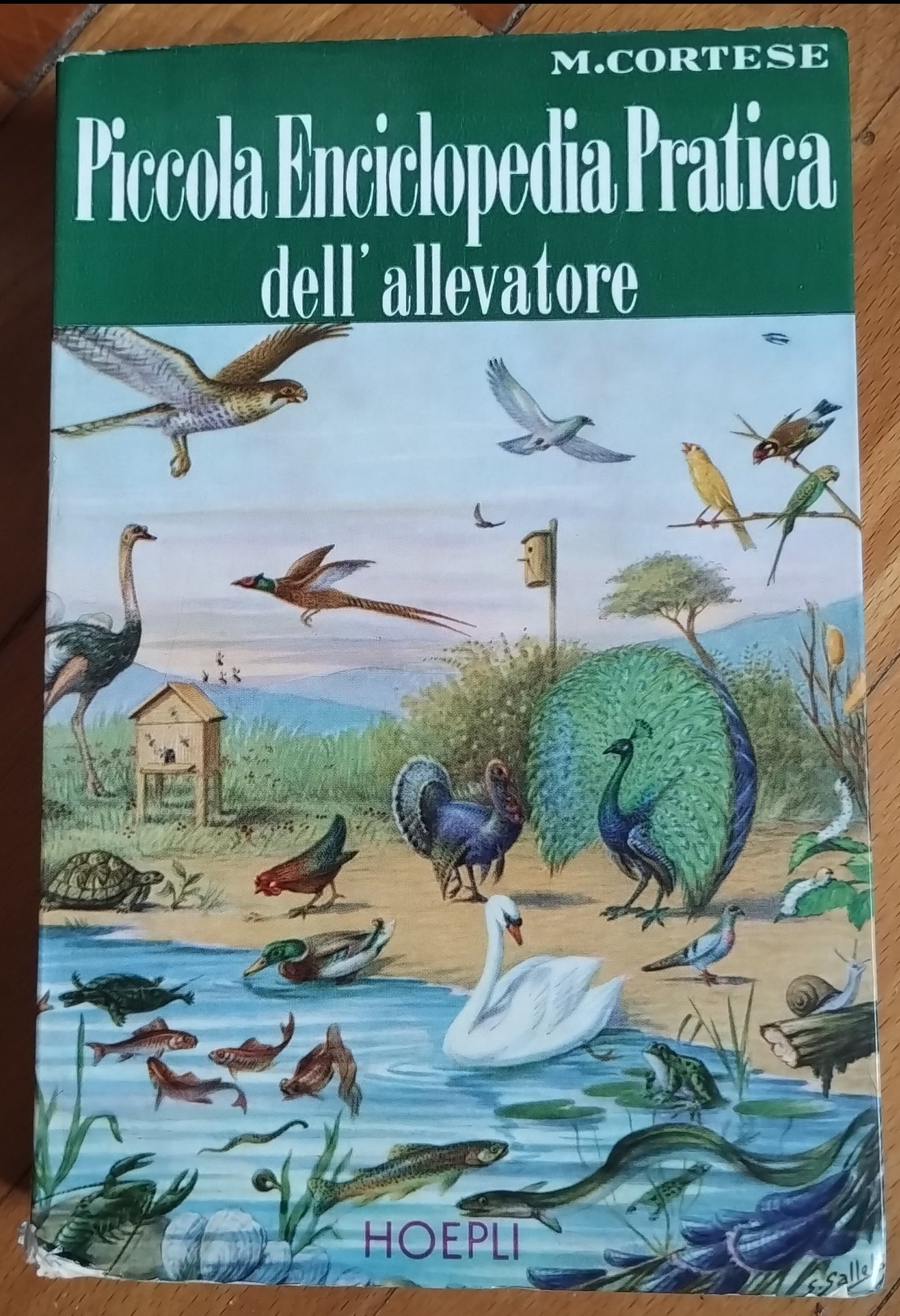 Piccola enciclopedia pratica dell'allevatore. Avicoltura. Piscicoltura. Molluschicoltura. Astacicoltura. Bachicoltura. Apicoltura. Zoocolture varie - Cortese (Autore) Hoepli, 1964