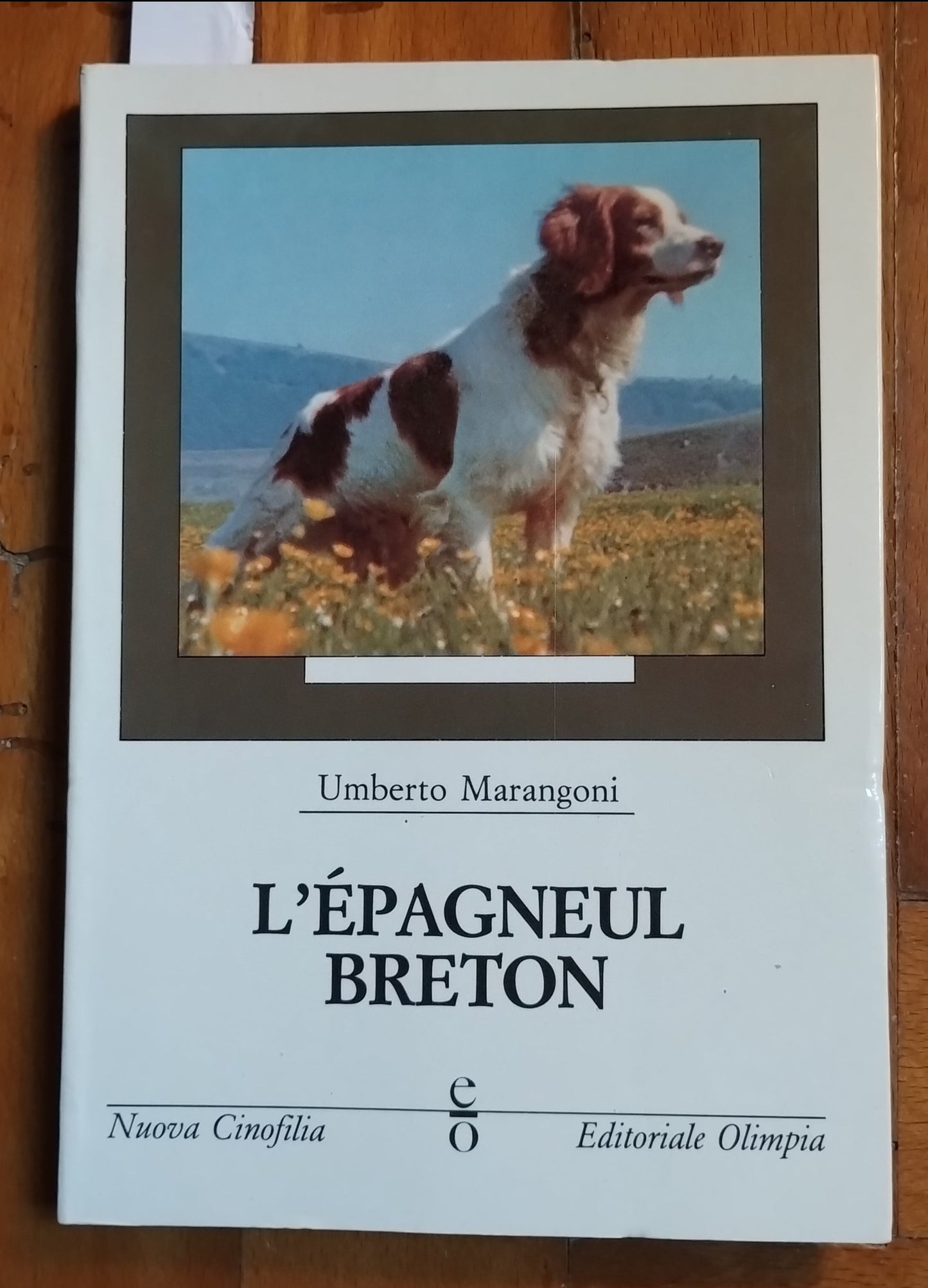 L'epagneul breton. Piccolo grande cane da ferma, Umberto Marangoni - Olimpia