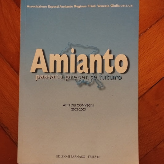 Amianto, passato presente futuro, atti dei convegni 2002 - 2003 Regione Friuli Venezia Giulia Parnaso ed. Trieste