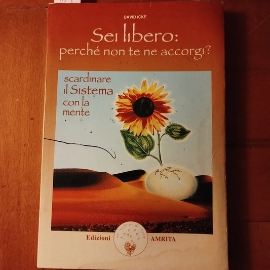 Sei libero. Perché non te ne accorgi? Scardinare il sistema con la mente di David Icke e I. Dal Brun - AMRITA
