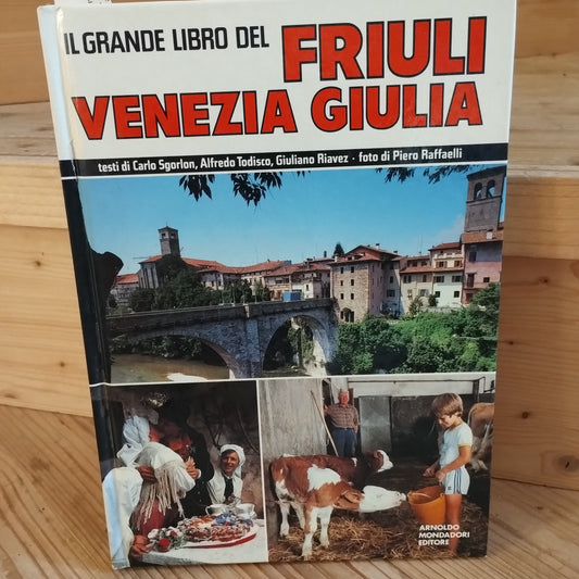 IL GRANDE LIBRO DEL FRIULI VENEZIA GIULIA - SGORLON, TODISCO, RAFFAELLI, Mondadori
