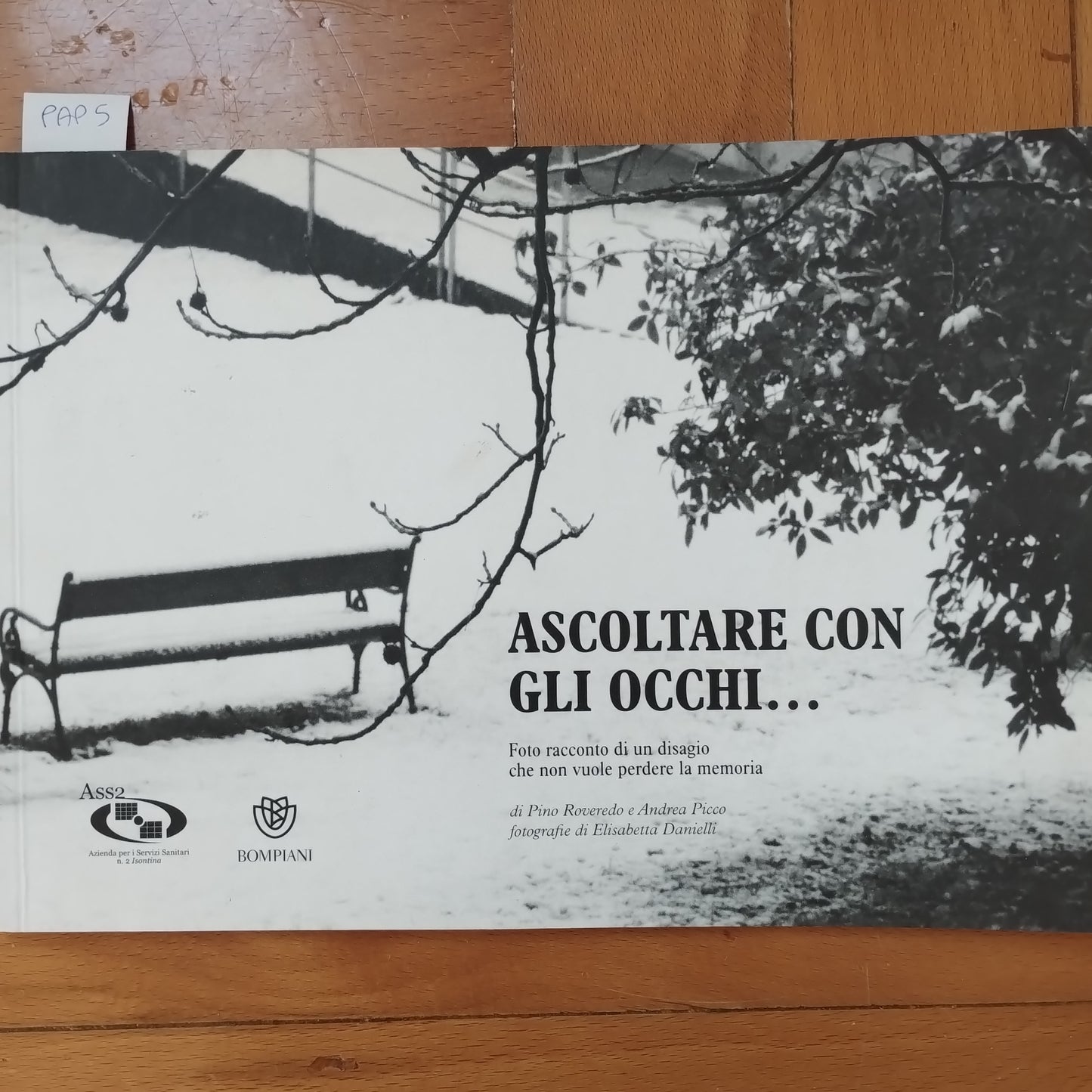 Ascoltare con gli occhi... foto racconto di un disagio che non vuole perdere la memoria, Pino Roveredo, Bompiani