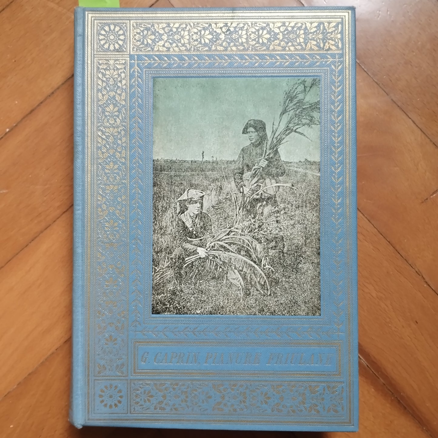 Pianure friulane di Giuseppe Caprin - Italo Svevo, 1970