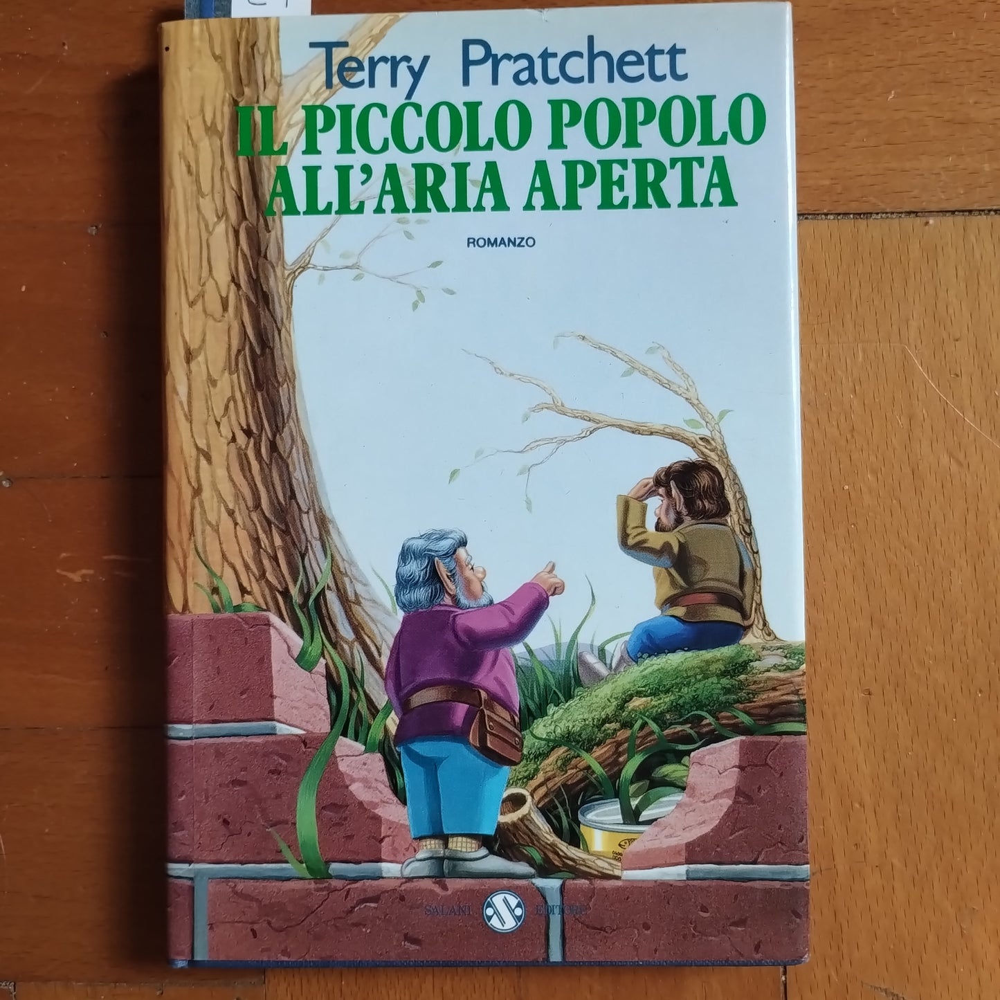 Il piccolo popolo all'aria aperta. Il secondo libro dei niomi. Terry Pratchett. Salani