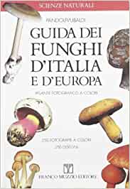 Guida dei funghi d’Italia e d’Europa. Pandolfi / Ubaldi - Franco Muzzio ed.