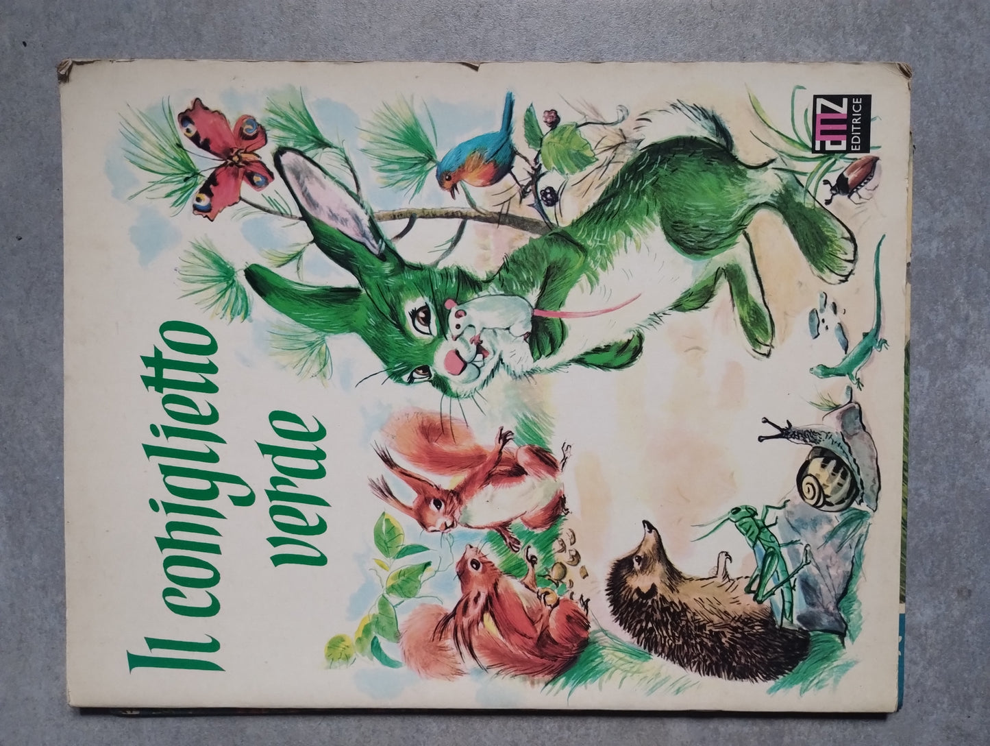 Il coniglietto verde, Missou, Amazon Milano 1969