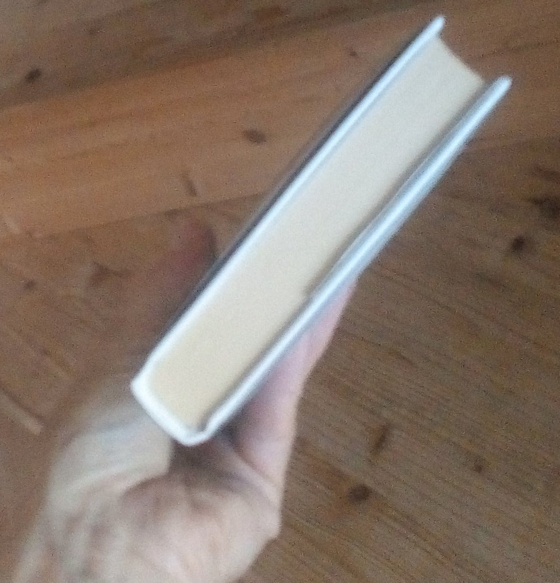 Chi ama torna sempre indietro. Guillame Musso. Rizzoli