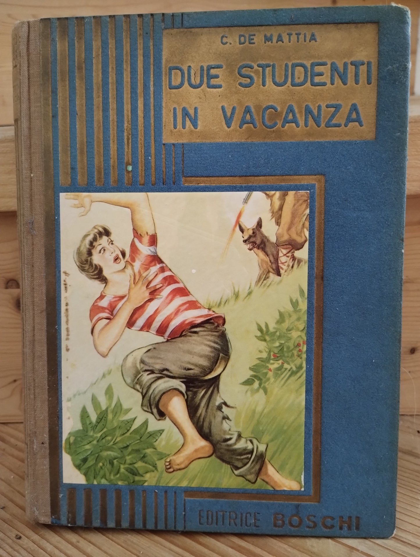 Due studenti in vacanza, C. DE Mattia, ed. Boschi