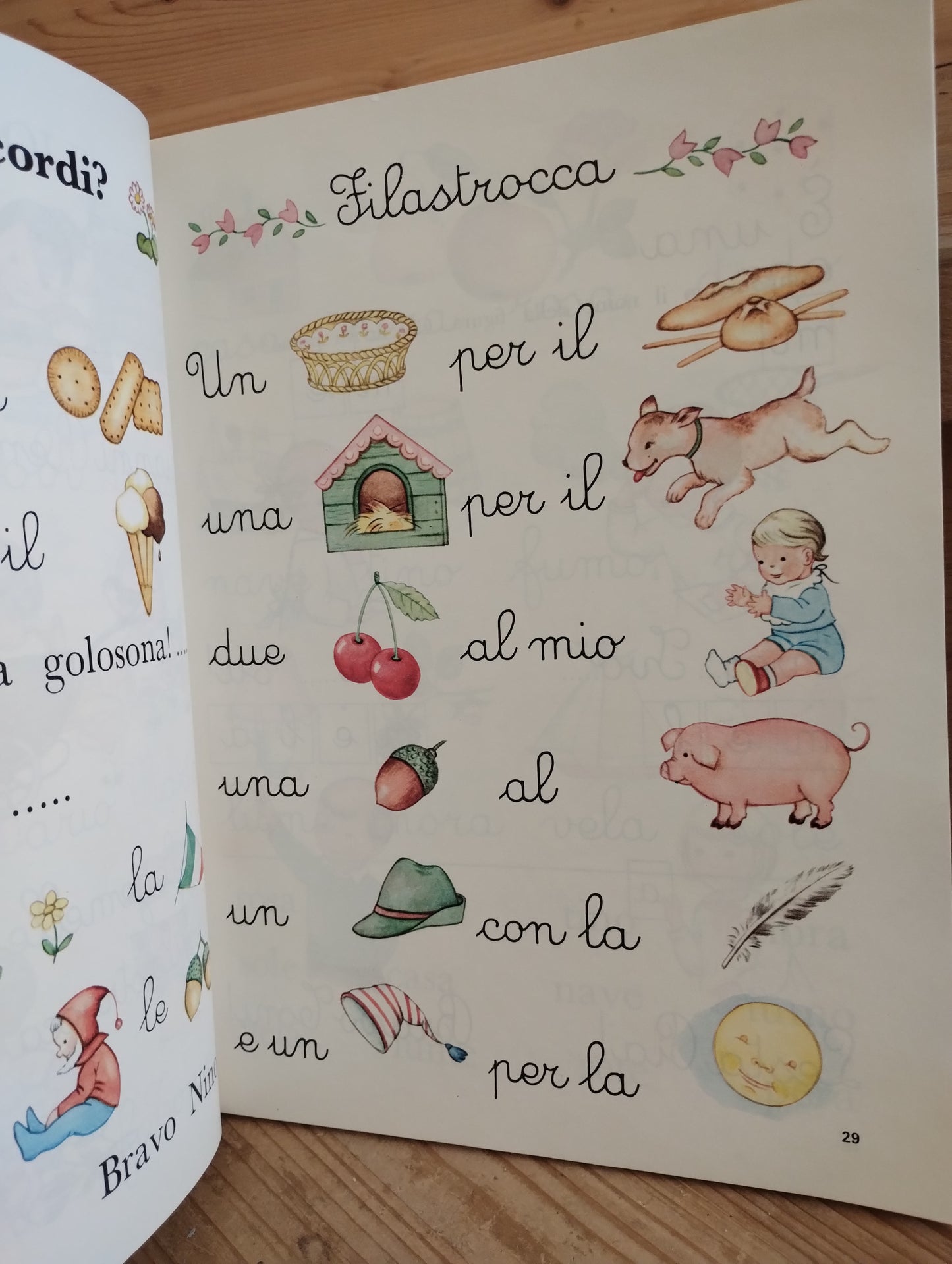 SEMI di ROSELLA BANZI MONTI, LETTURE CLASSE 1, 1969, JANUS ED.