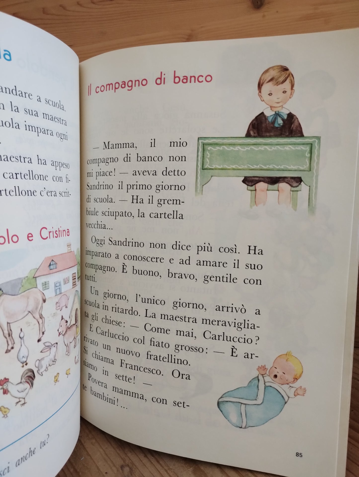 SEMI di ROSELLA BANZI MONTI, LETTURE CLASSE 1, 1969, JANUS ED.