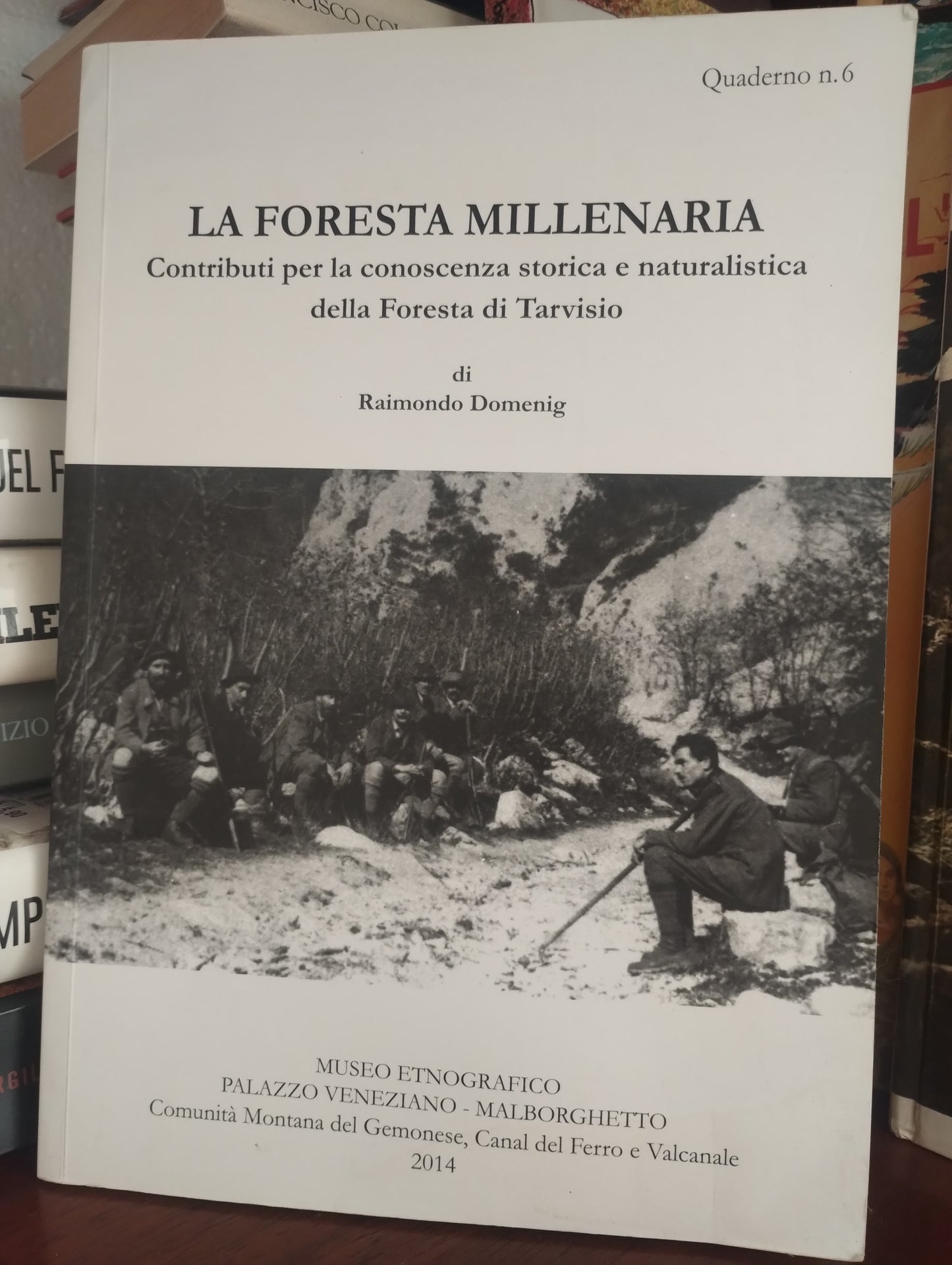 La foresta millenaria, conoscenza storica e naturalistica della foresta di Tarvisio - Raimondo Domenig, Malborghetto 2014