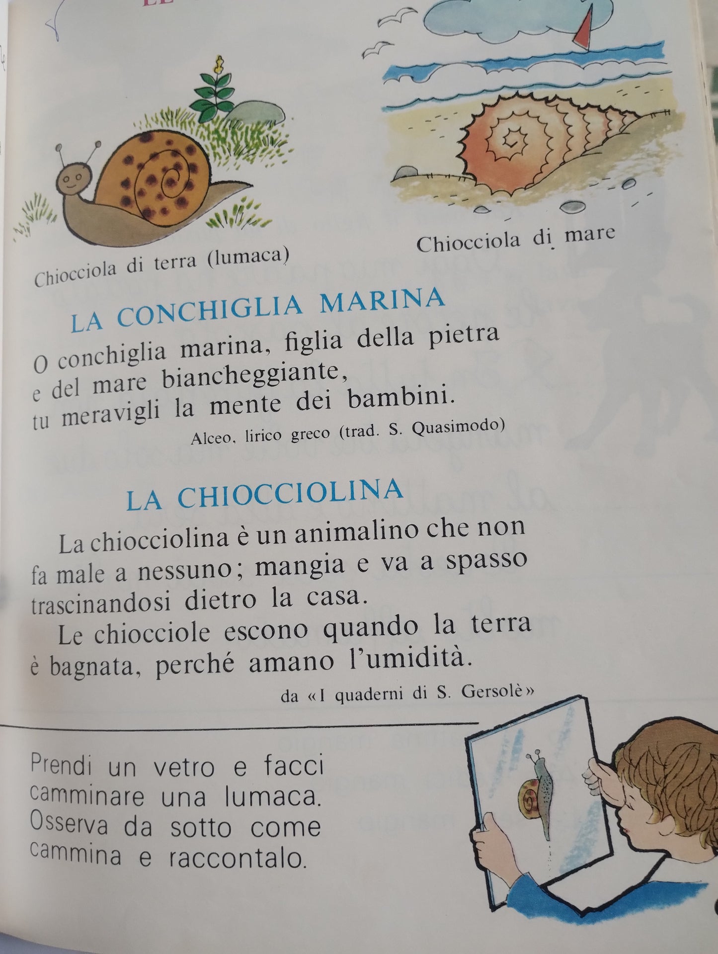 Giochi e idee, corso di letture primo ciclo scuola elementare, Zoltan Dienes, Giunti Marzocco, classe 1