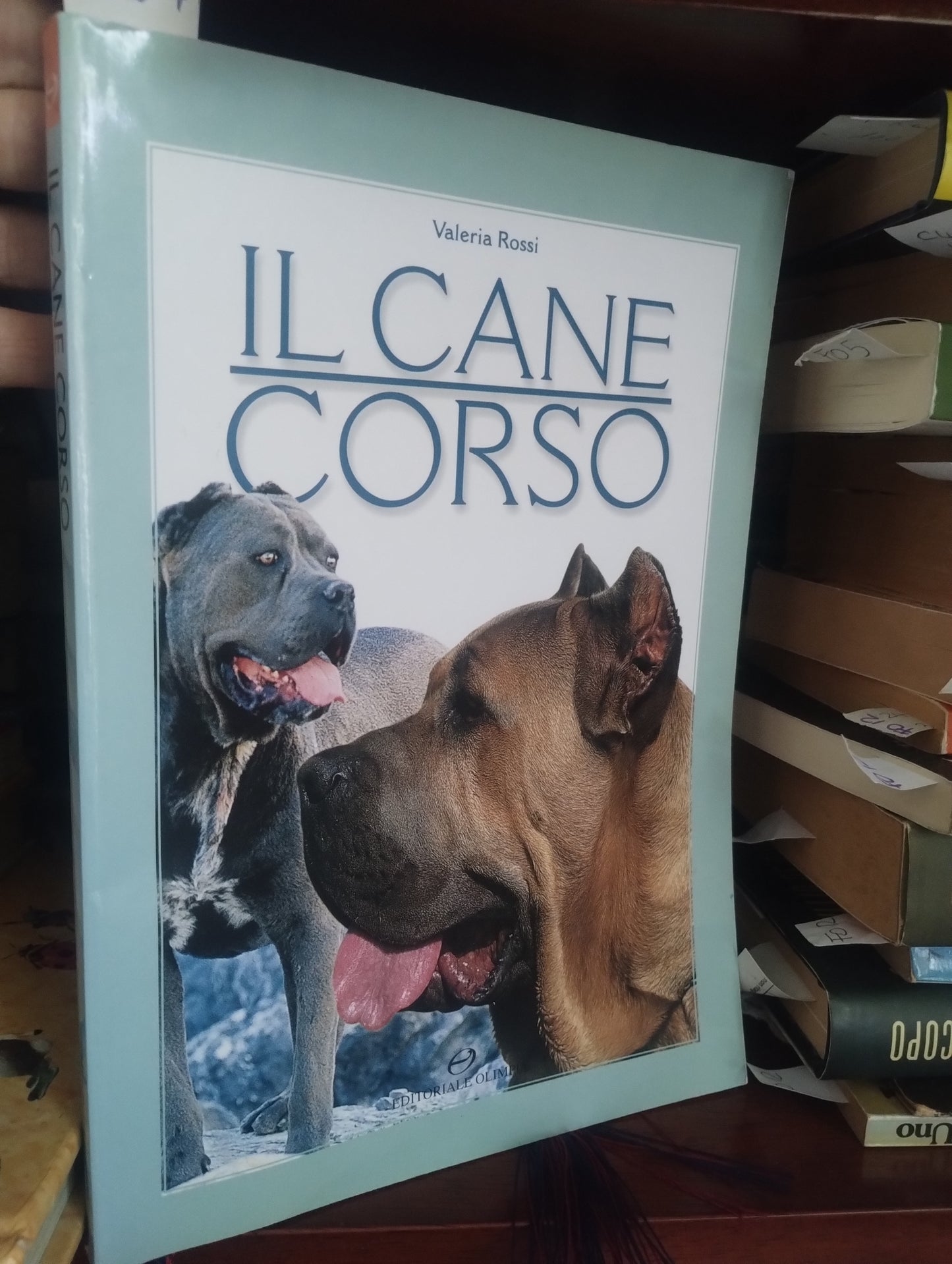 Il cane corso, di Valeria Rossi, Editoriale Olimpia - 9788825300239