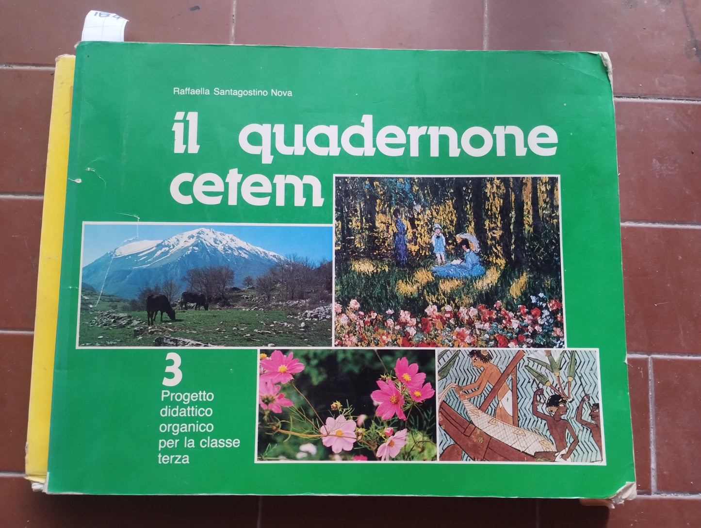 Il quadernone Cetem 3, classe terza, progetto didattico organico per la classe, Santagostino Nova