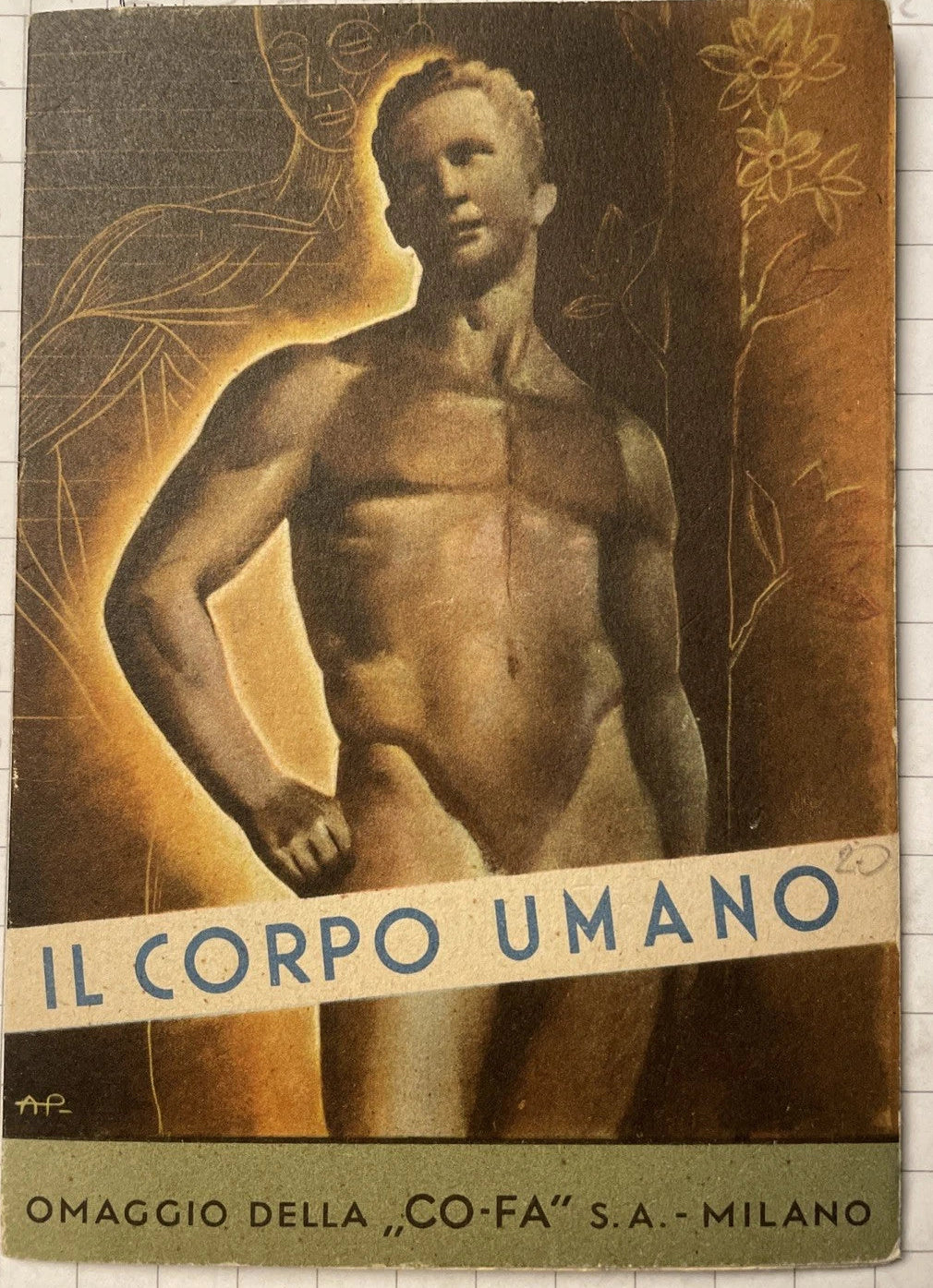 Il Corpo Umano Omaggio CO-FA Milano Medicina 1938 Bayer Muscoli Scheletro