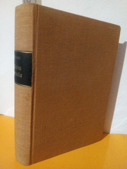 La Divina Commedia, schemi, riassunti, analisi dei singoli canti. Ernesto Bignami. Inferno, Purgatorio, Paradiso
