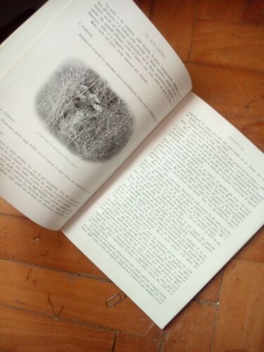 HIC SUNT LEONES, un anno di esplorazione e di caccia in SOMALIA,  ZAMMARANO Vittorio