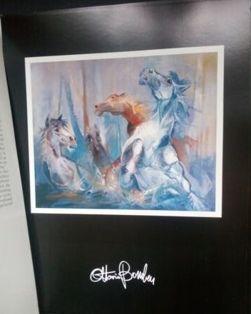 Istituto italiano di cultura New York, Contemporary Artists from Trieste stampe