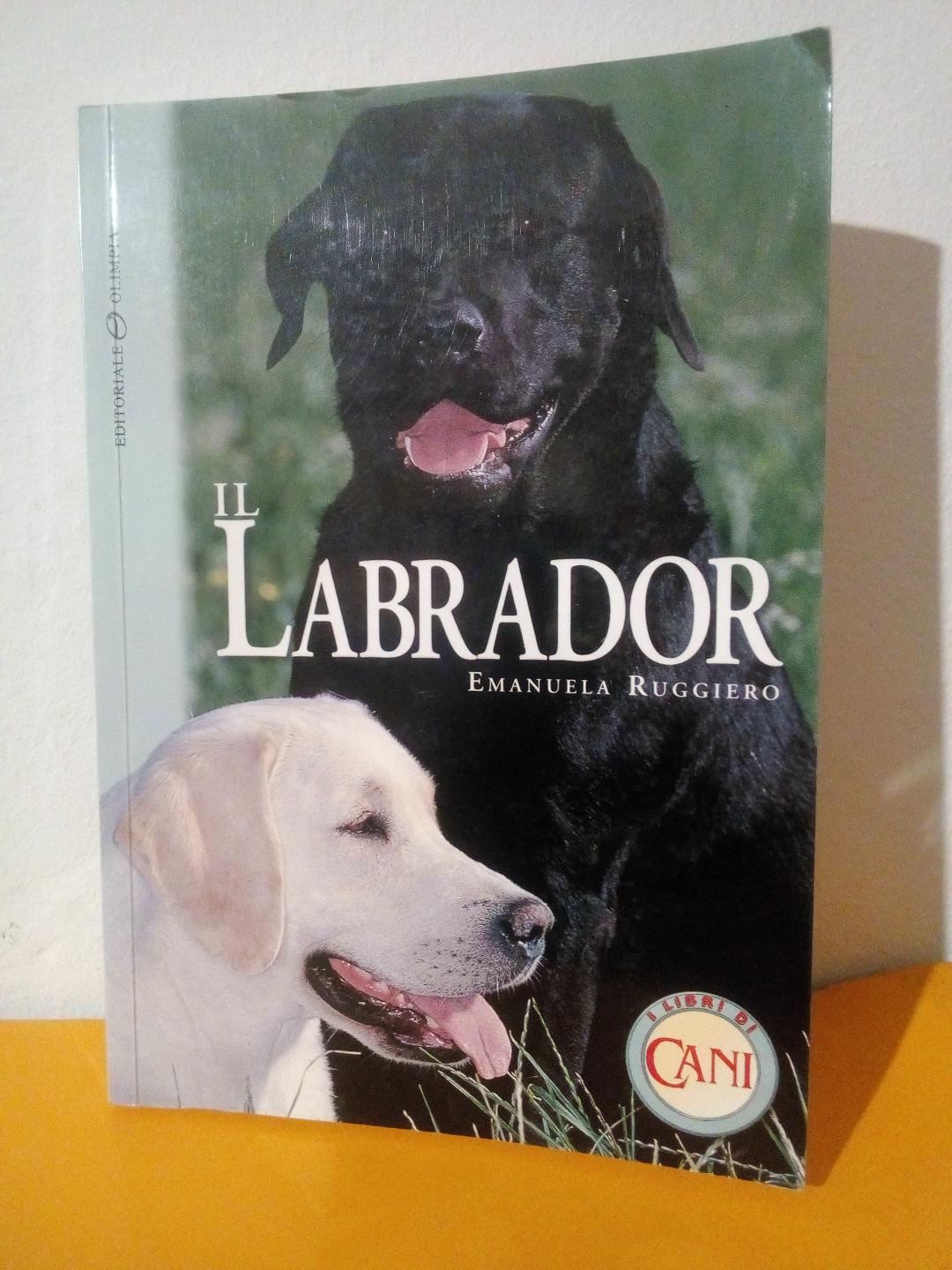 Il Labrador. Emanuela Ruggiero. Olimpia