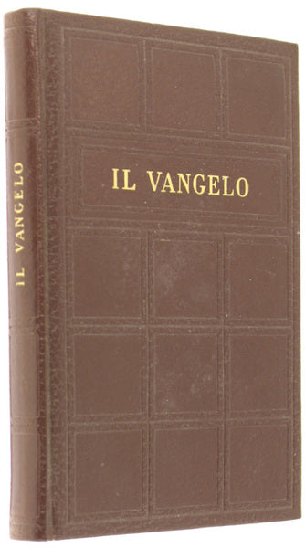 Il Vangelo Tradotto dal testo originale greco (Don G. Guerini)