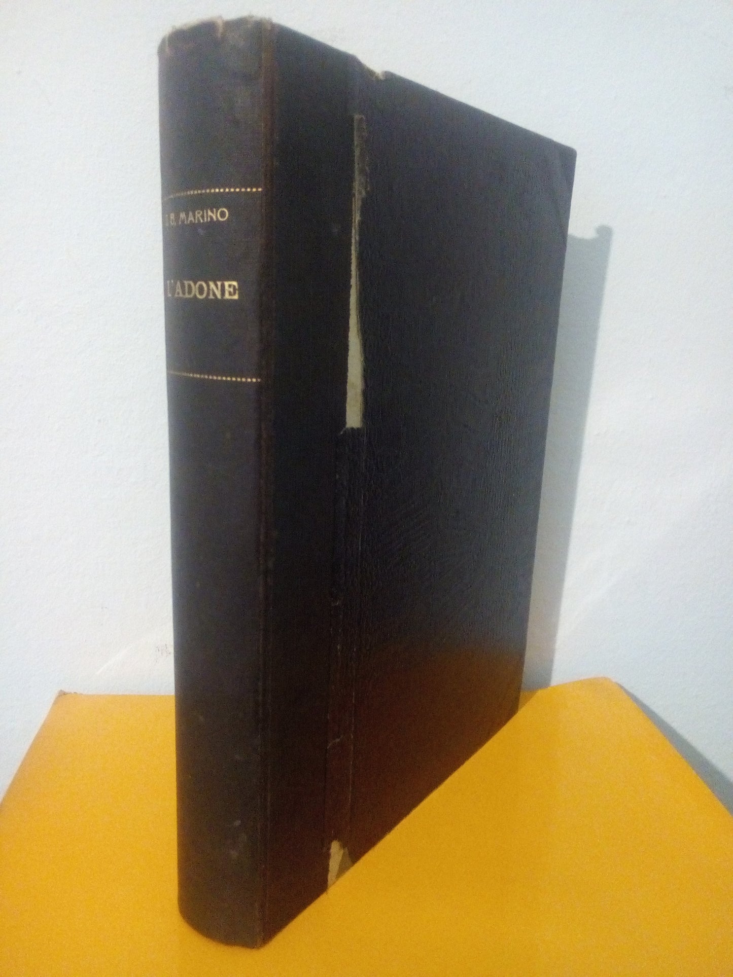 L’Adone, poema. Con quadri originali di Fabio Fabbi. G. B. Marino. Nerbini 1922