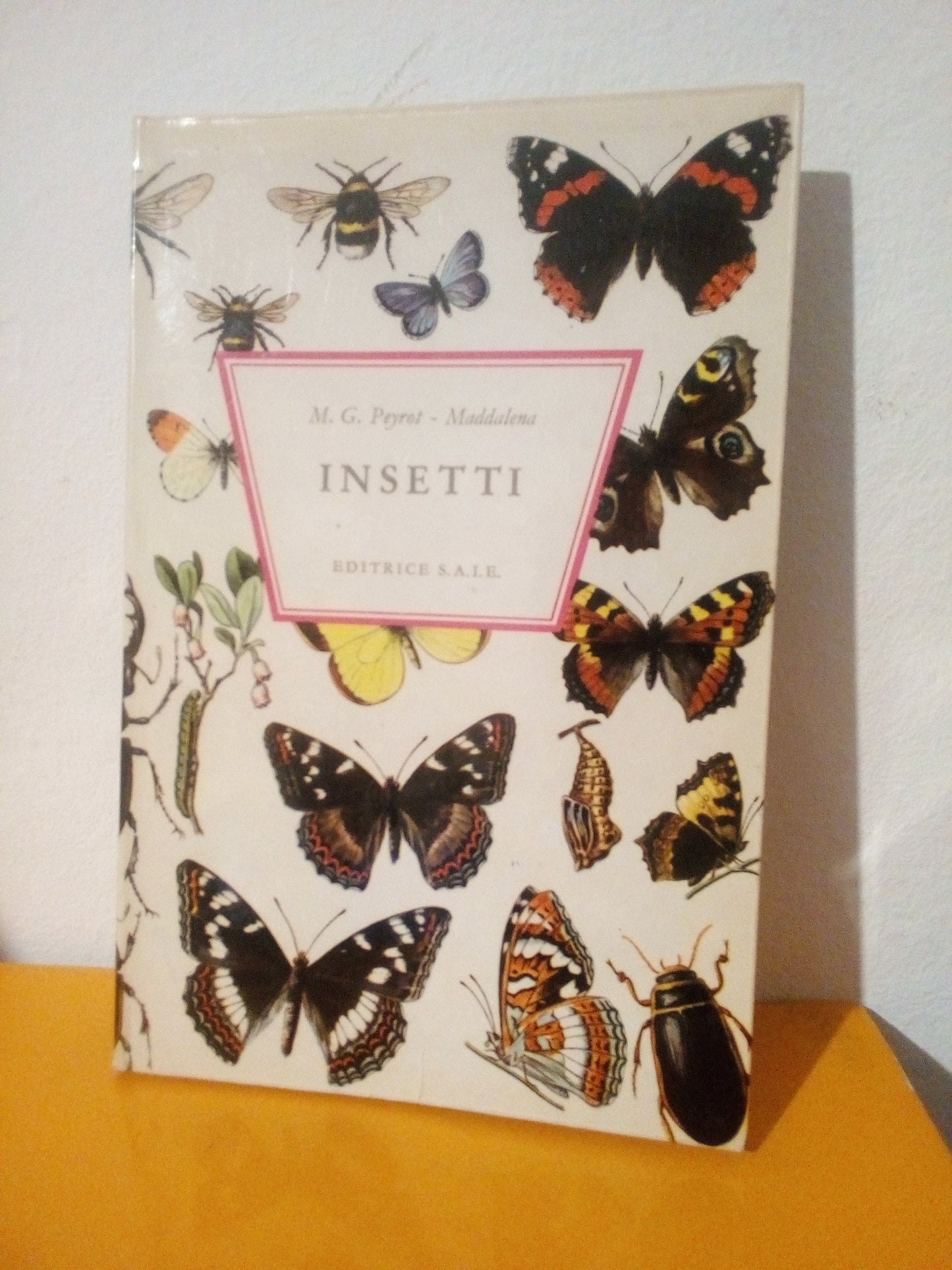 Insetti. Peyrot, Maddalena. SAIE